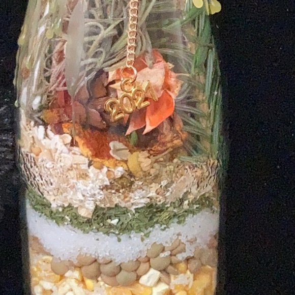 Prosperity, abundance, protection, New Year 2021 - Picture 2 of 16